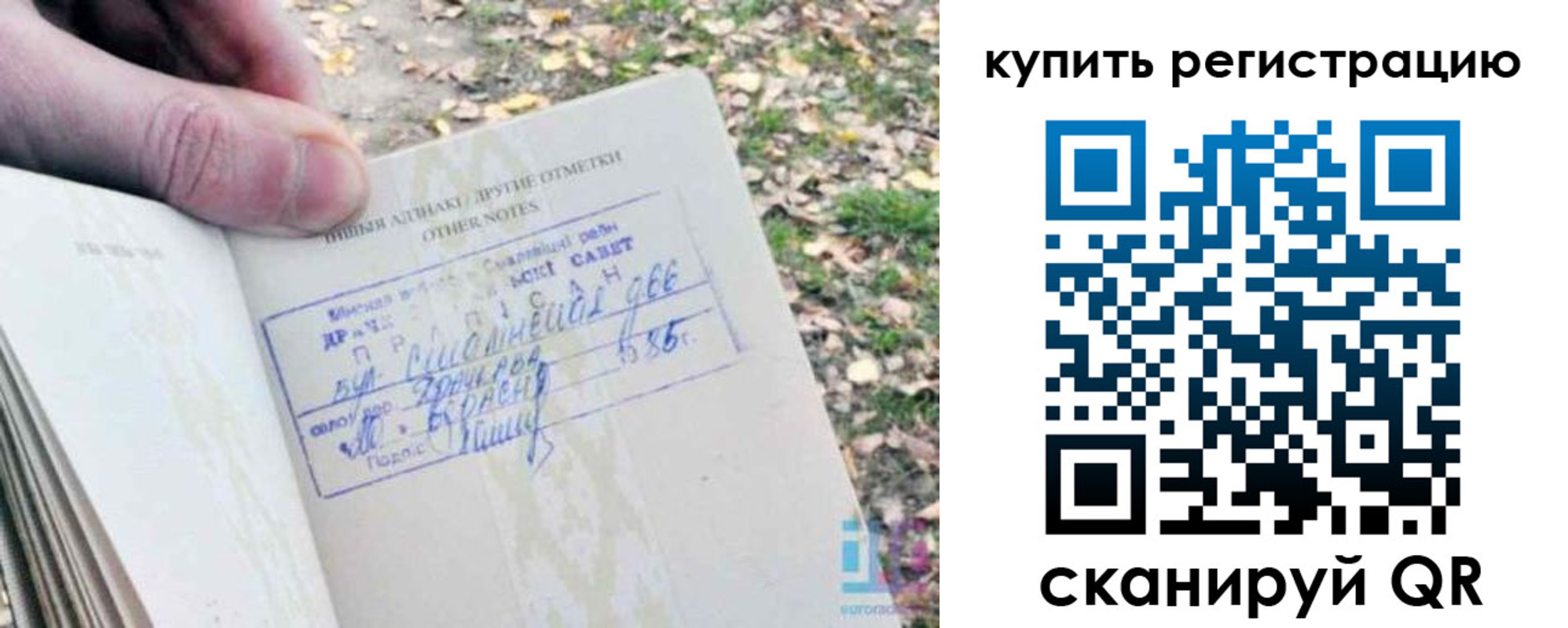 прописка регистрация в Курганинске